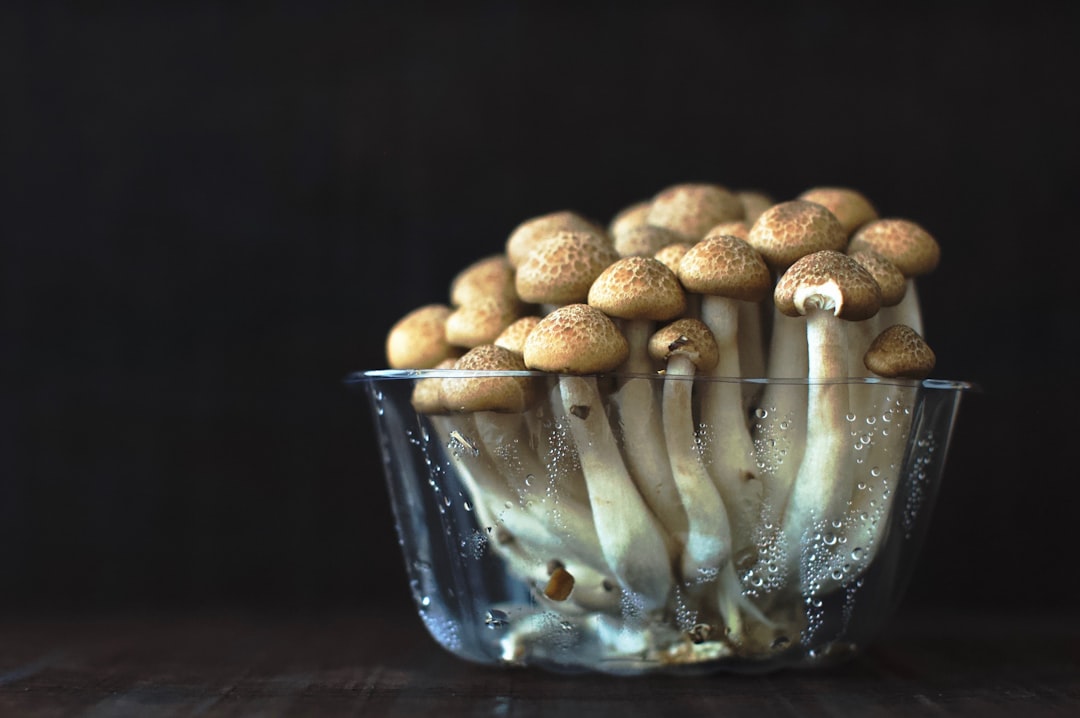 Photo Mushrooms, cocktails